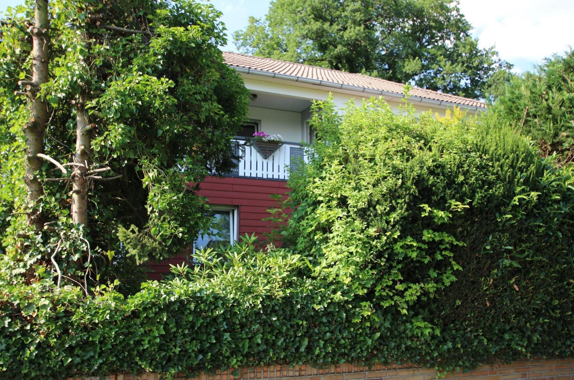 Ferienwohnung Zum Rosengarten West015 Westerwald Driedorf Exterior photo