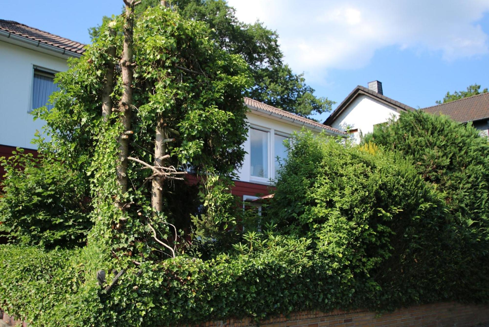 Ferienwohnung Zum Rosengarten West015 Westerwald Driedorf Exterior photo